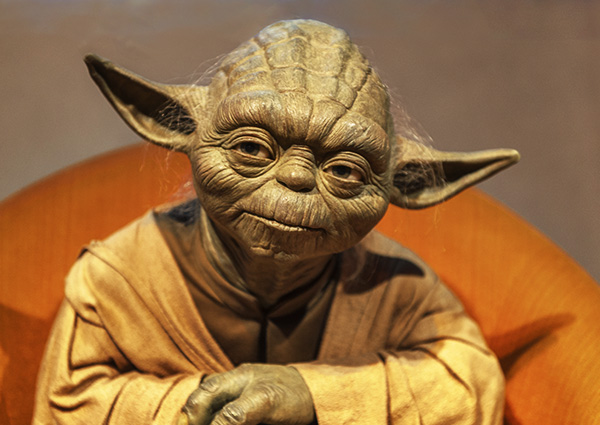 Yoda - the voice of reason