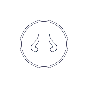 Buffalo 7 Animated Logo